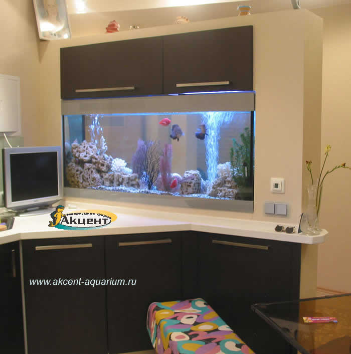 Акцент-аквариум, аквариум 270л с гнутым передним стеклом просмотровый вид со стороны кухни